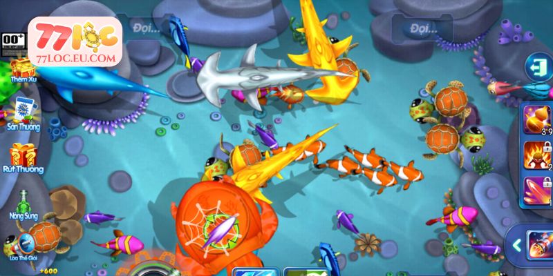 Chú ý đến xu hướng và sự xuất hiện của các con cá