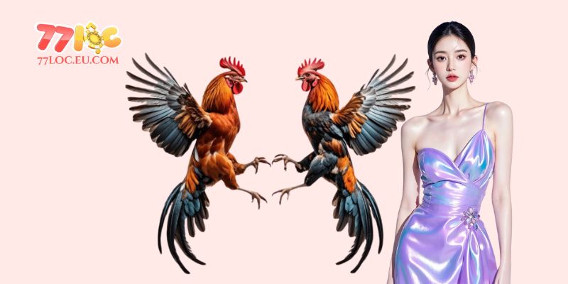 Mẹo chọn gà đá hay cụ thể qua những tiêu chí