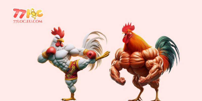 Yếu tố nào đánh giá được gà chọi đòn hay